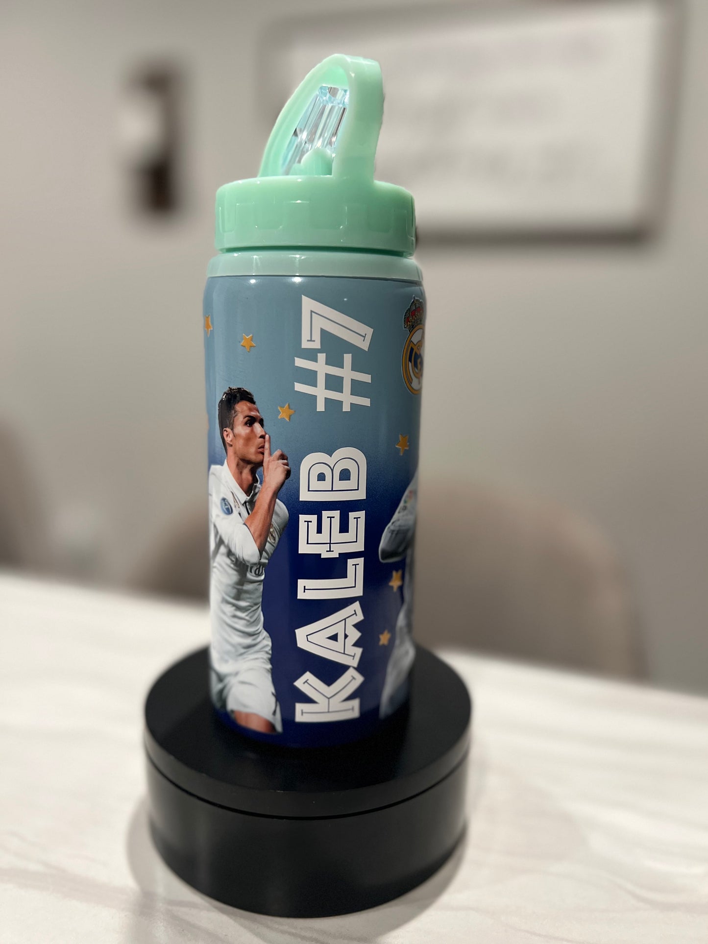 16oz Kids Sippy (plastic/stainless steel)