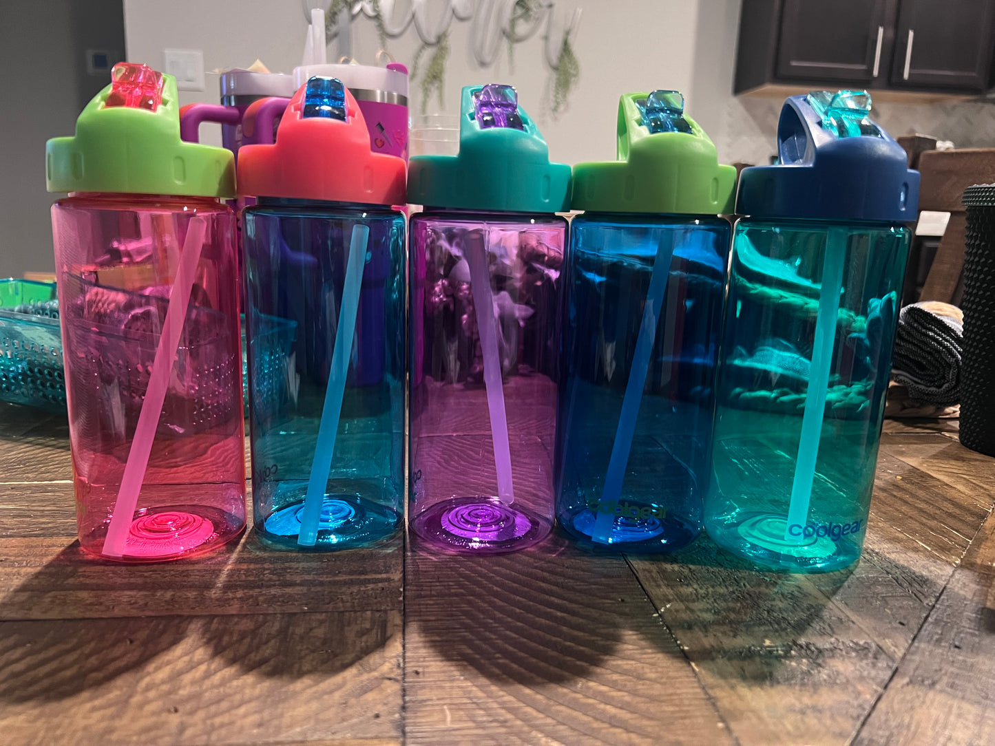 16oz Kids Sippy (plastic/stainless steel)
