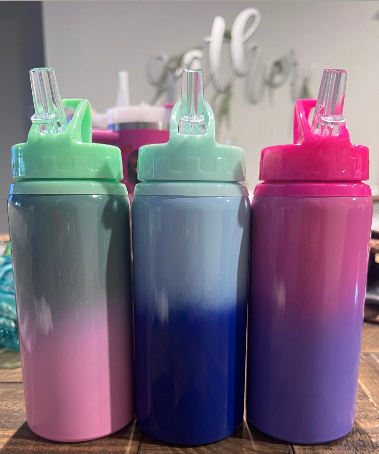 16oz Kids Sippy (plastic/stainless steel)