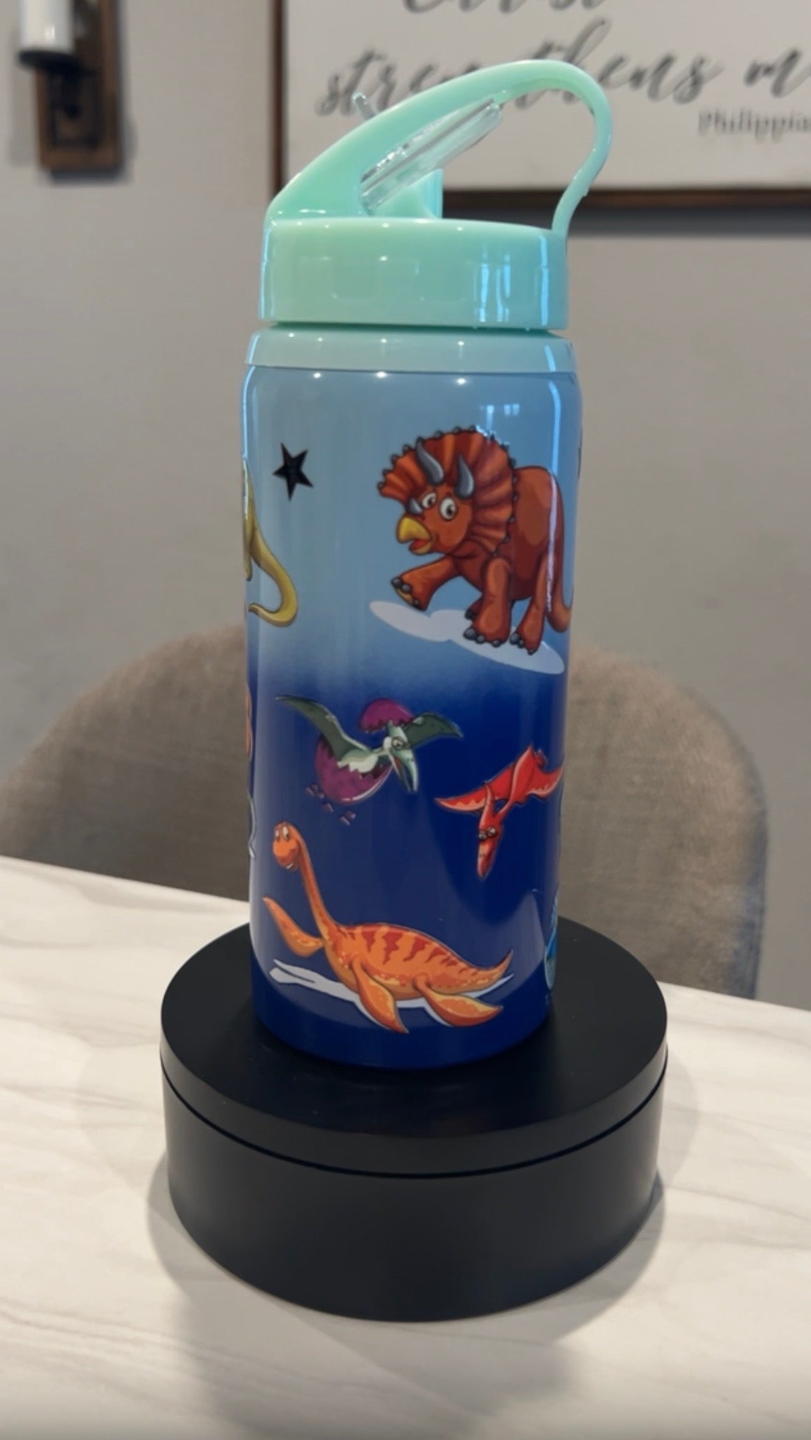 16oz Kids Sippy (plastic/stainless steel)