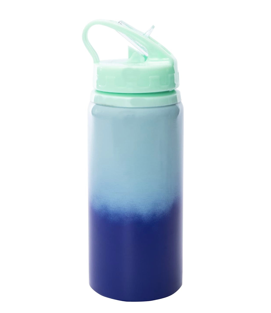 16oz Kids Sippy (plastic/stainless steel)