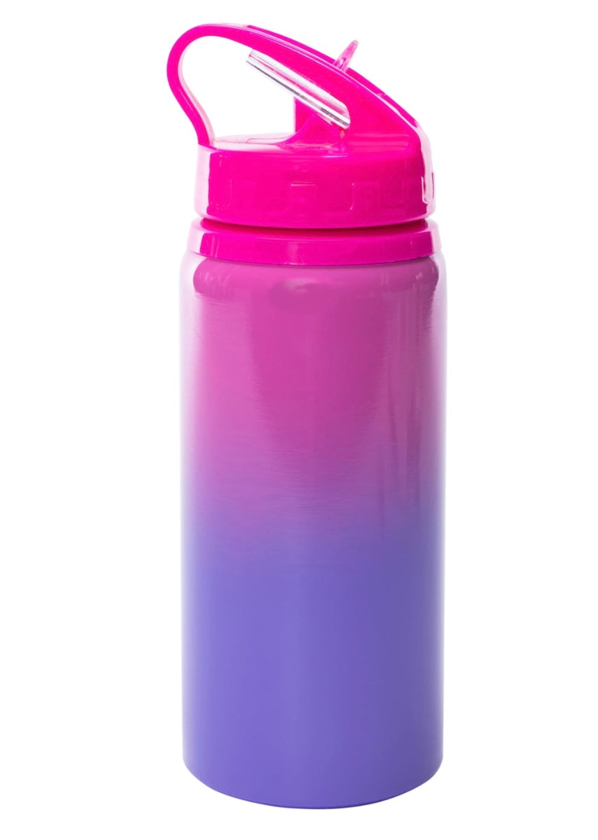 16oz Kids Sippy (plastic/stainless steel)