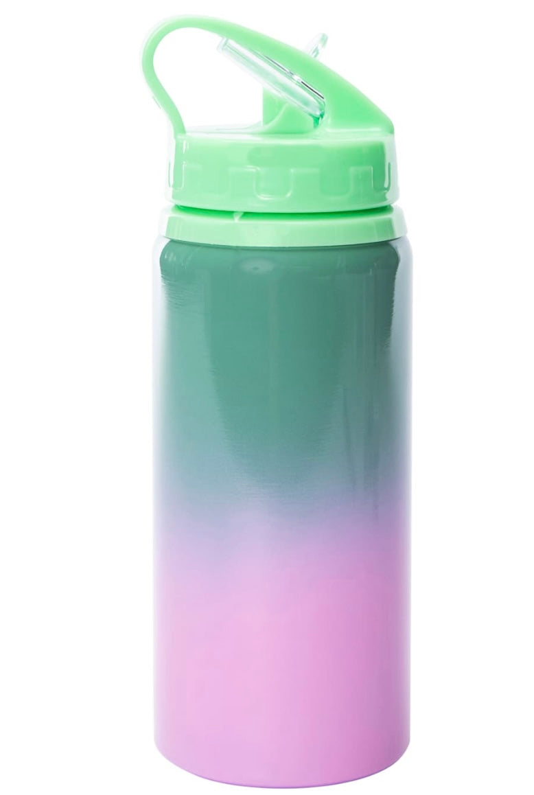 16oz Kids Sippy (plastic/stainless steel)